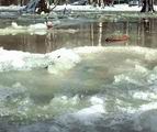 spr_06.jpg