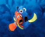 nemo.jpg
