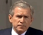 bush.jpg