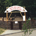 zoo.jpg