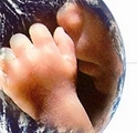 abort1.jpg