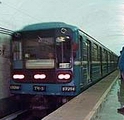 294.jpg