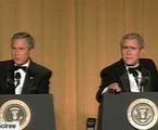 bush.jpg