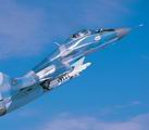 mig.jpg
