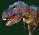 trex1.jpg