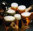 pivo.jpg