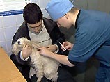 vet.jpg