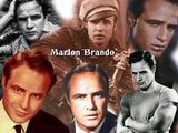 brando.jpg