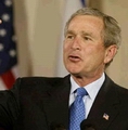 bush.jpg