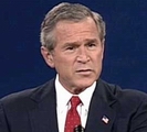 bush.jpg