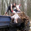 The staff of the Central Committee of the Belarusian Youth Union is clearing the Victory Park in Minsk [Press for large view]