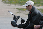 Мужчина кормит голубей. [Нажмите для увеличения]