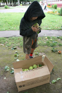 Дети собирают яблоки. [Нажмите для увеличения]