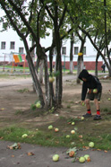 Дети собирают яблоки. [Нажмите для увеличения]
